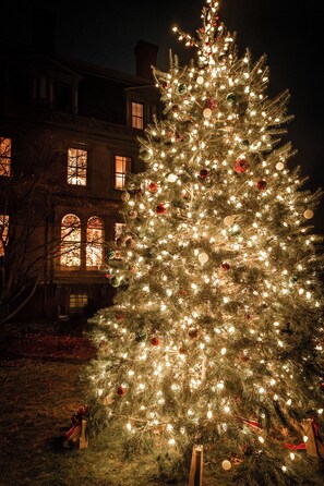 Garden - The Underwood-Hale House (Providence)