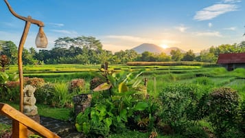 Utsikt från boendet