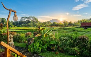 View from property - Sirya Farm House (Tabanan)