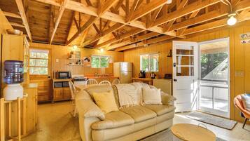 TV, fireplace, books