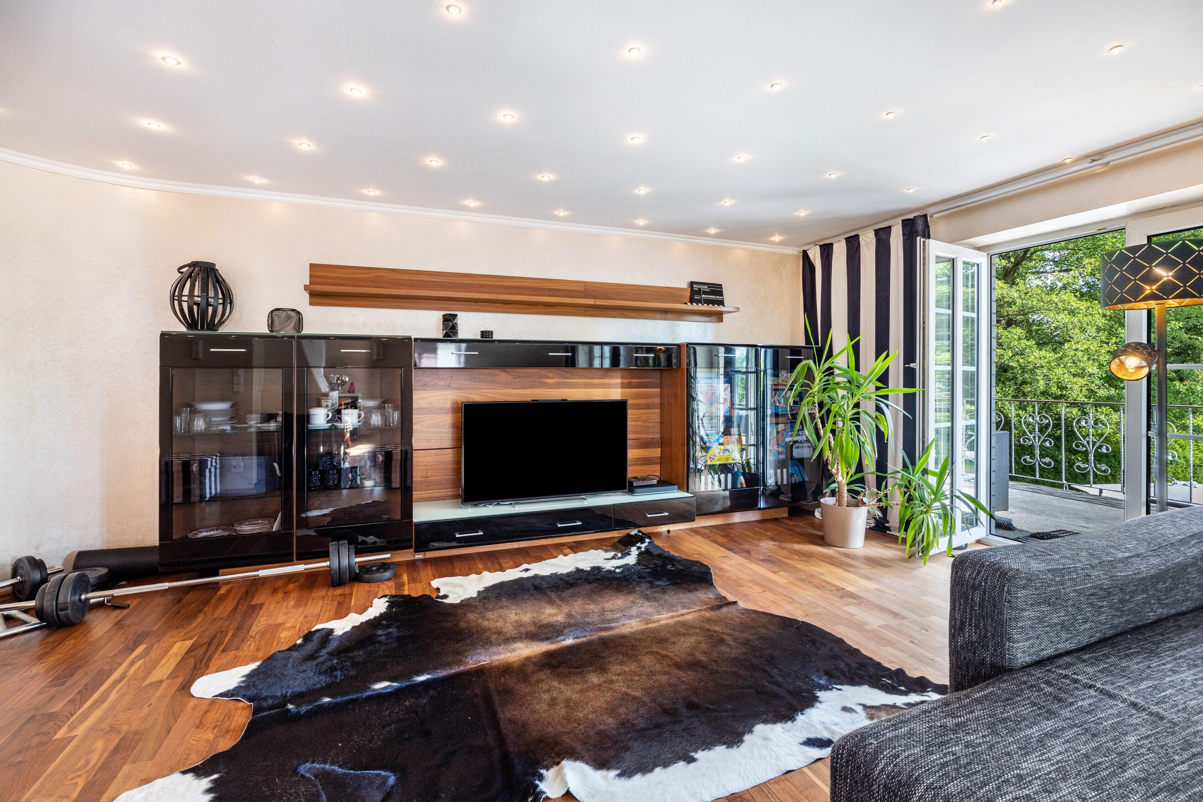 TV, fireplace, video games, table tennis