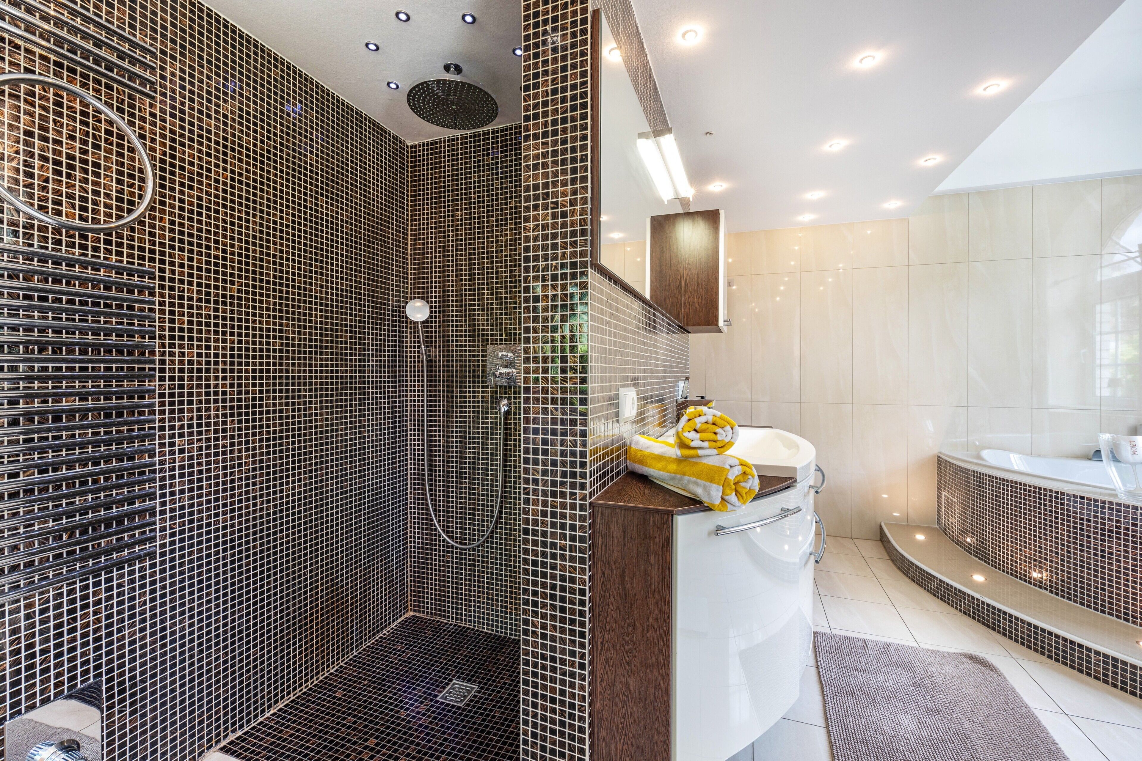 Shower, hair dryer