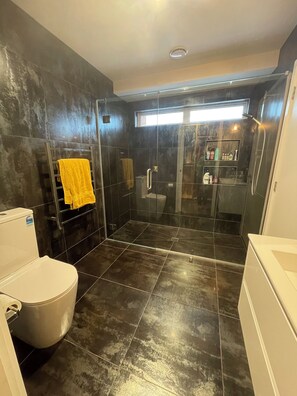 Dusche, Haartrockner, Handtücher, Seife