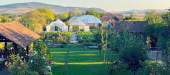 5 traditionally appointed bedrooms in 4 star guesthouse with country breakfast