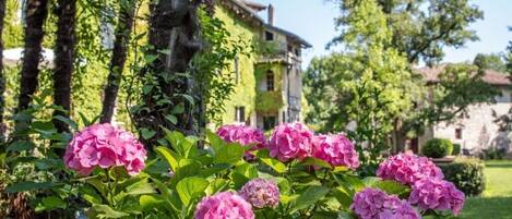 Terrein van de accommodatie