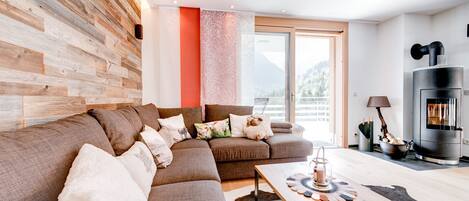 Télévision, cheminée, lecteur de DVD