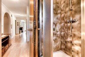 Shower, hair dryer