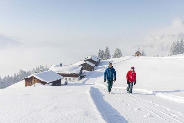 Snow and ski sports