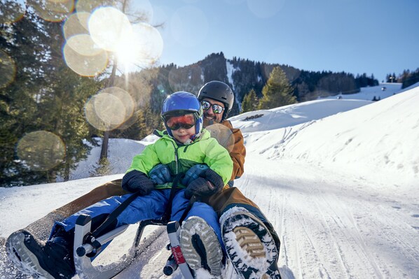 Sne- og skisport