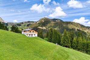 Esterni