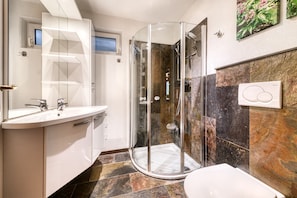 Shower, hair dryer, toilet paper