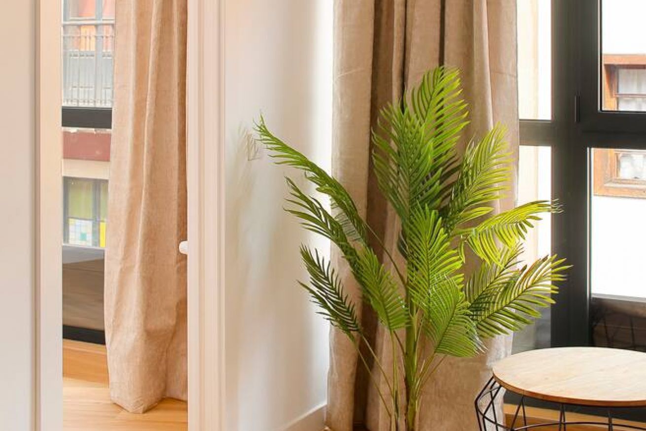 Una habitación con un ventanal amplio, una planta en maceta y una mesa redonda.