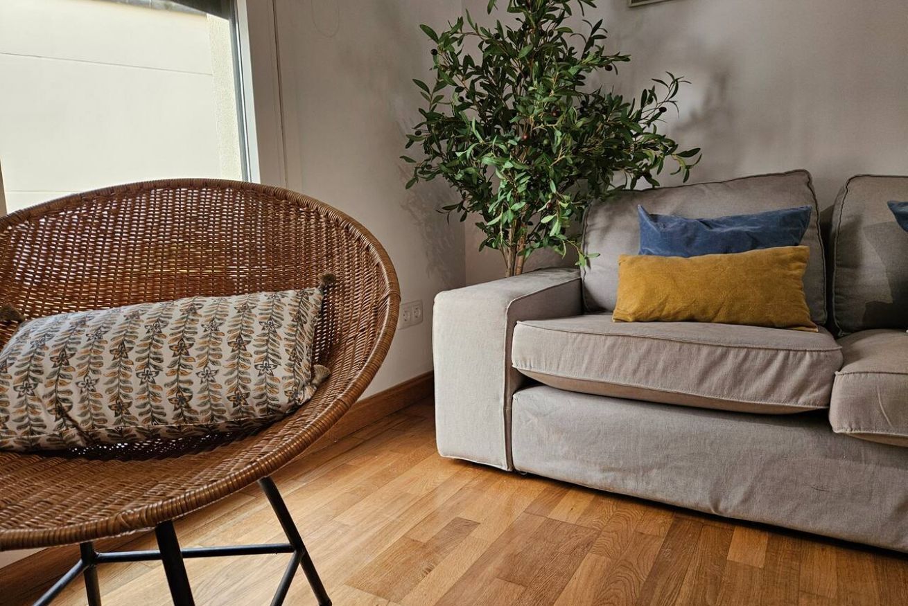 Une chaise en osier avec un coussin à motifs, un canapé gris avec deux coussins et une plante verte.