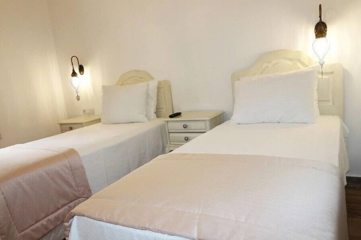 Habitación estándar con 2 camas individuales | 1 dormitorio, escritorio, espacio para trabajar con un portátil