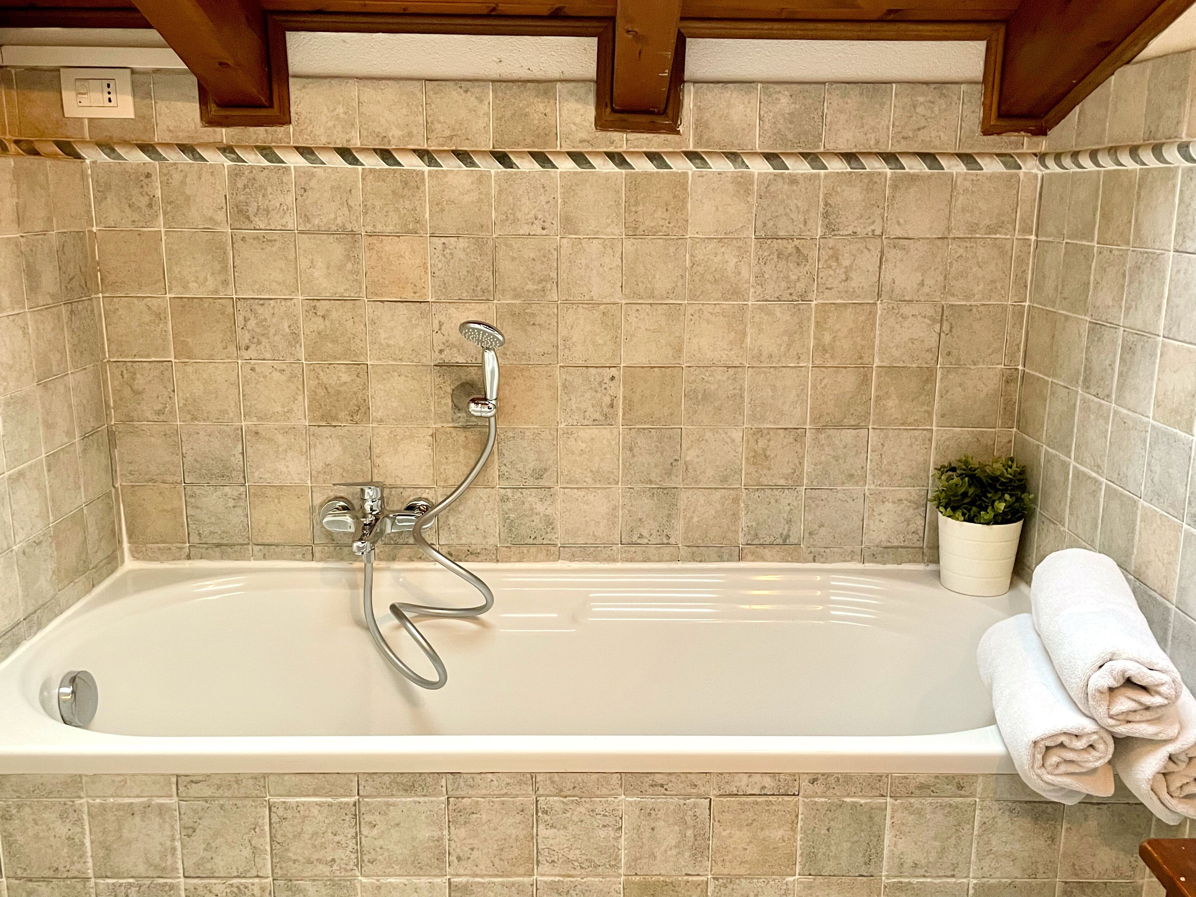 A bathroom with a bathtub, shower, and a potted plant.