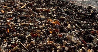 Large apartment next to the lake with free parking