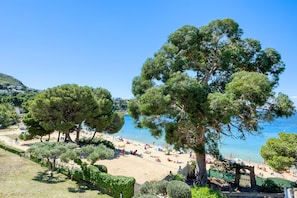 Playa en los alrededores
