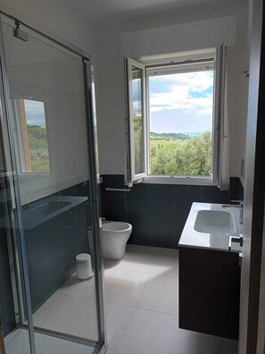 Shower, hair dryer, bidet, towels