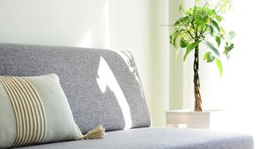 A grey sofa with a patterned cushion, a potted plant, and a patterned rug in a well-lit room with white walls. - Elli Cozy House (Corfu)