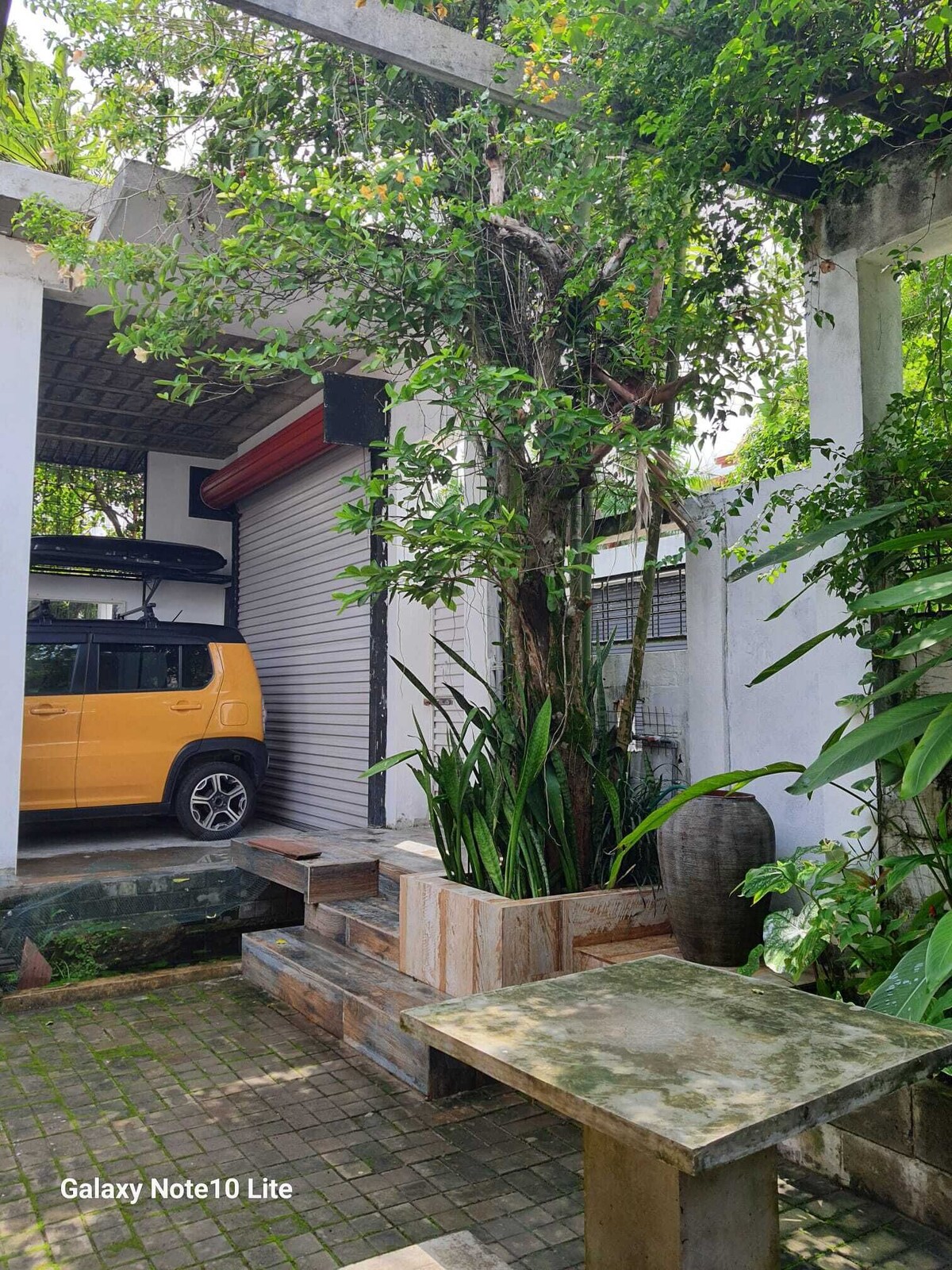 Imagen de perfil del propietario o de la propietaria