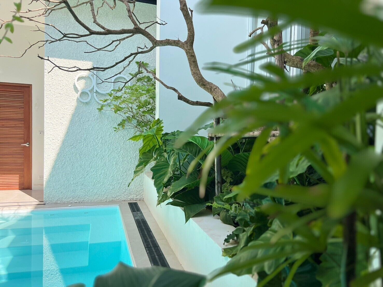 Ein Poolbereich mit einem klaren, blauen Pool, umgeben von üppiger Vegetation und einer weißen Mauer mit einer Tür.
