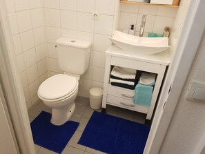 Hair dryer, towels, toilet paper