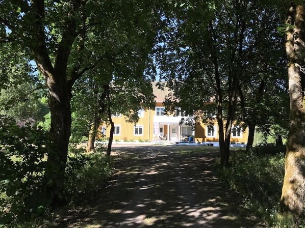 Exteriör