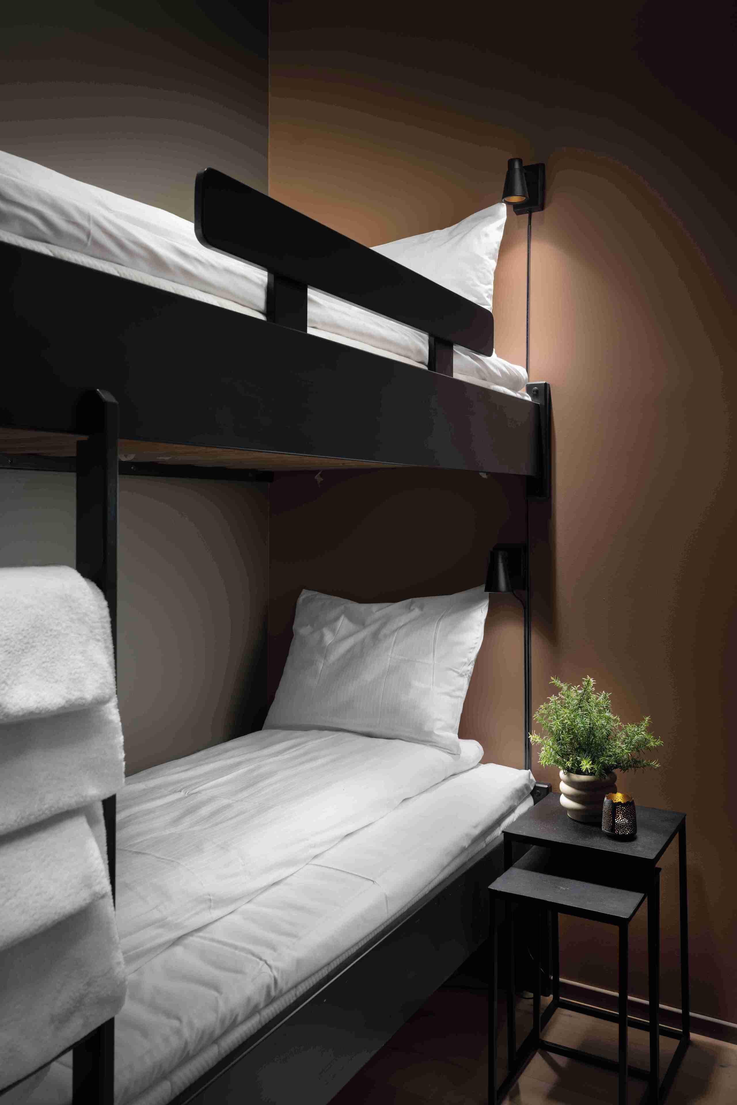 A bunk bed with a bedside table and a potted plant.