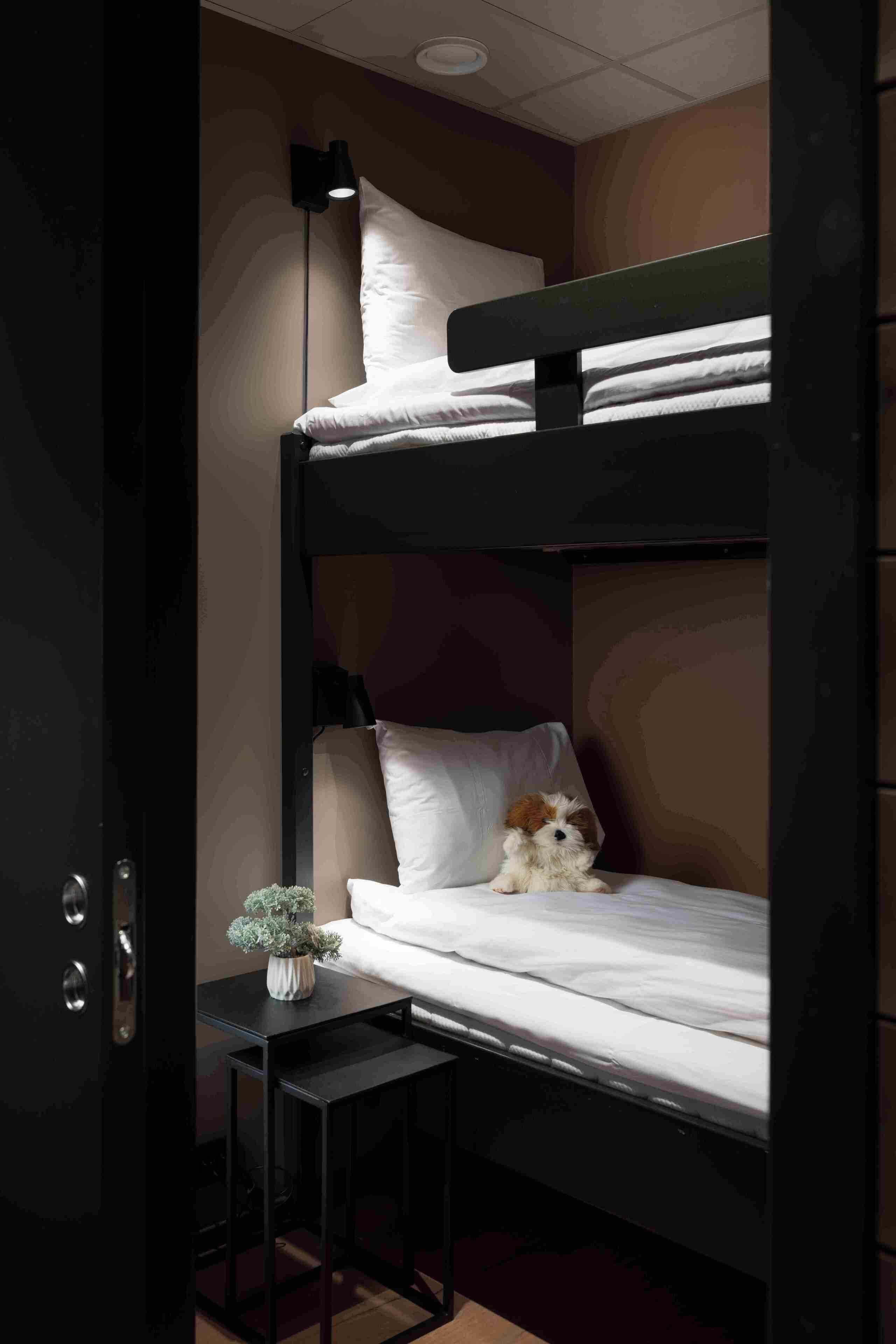 A bunk bed with a small table and a plant, in a room with a patterned wall and a ceiling light.