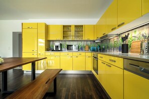 Fridge, oven, stovetop, dishwasher