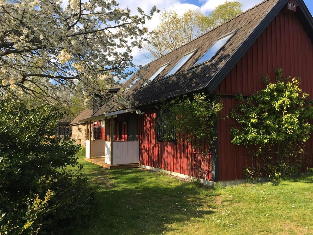 Värdens profilbild