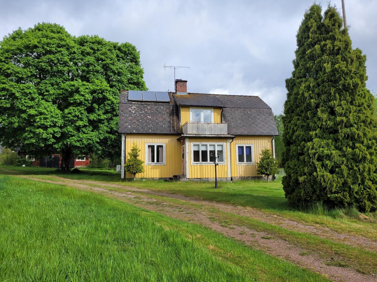 Värdens profilbild