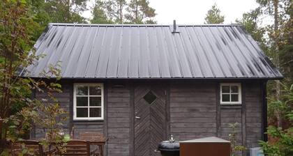 1 bedroom apartment in Lärbro