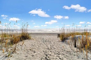 Ein sandiger Strand mit vereinzelter Vegetation und einem klaren Himmel.