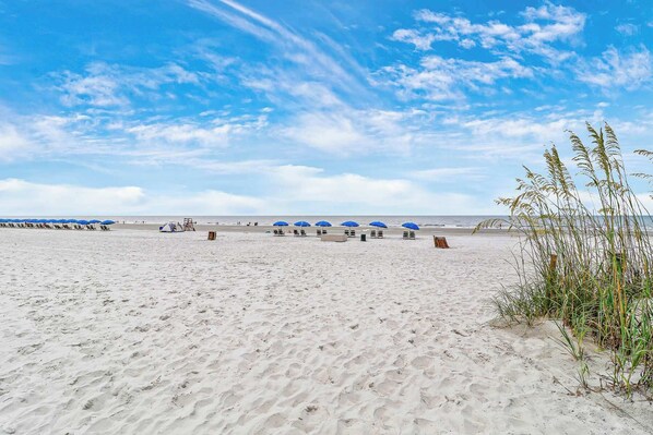 Playa en los alrededores