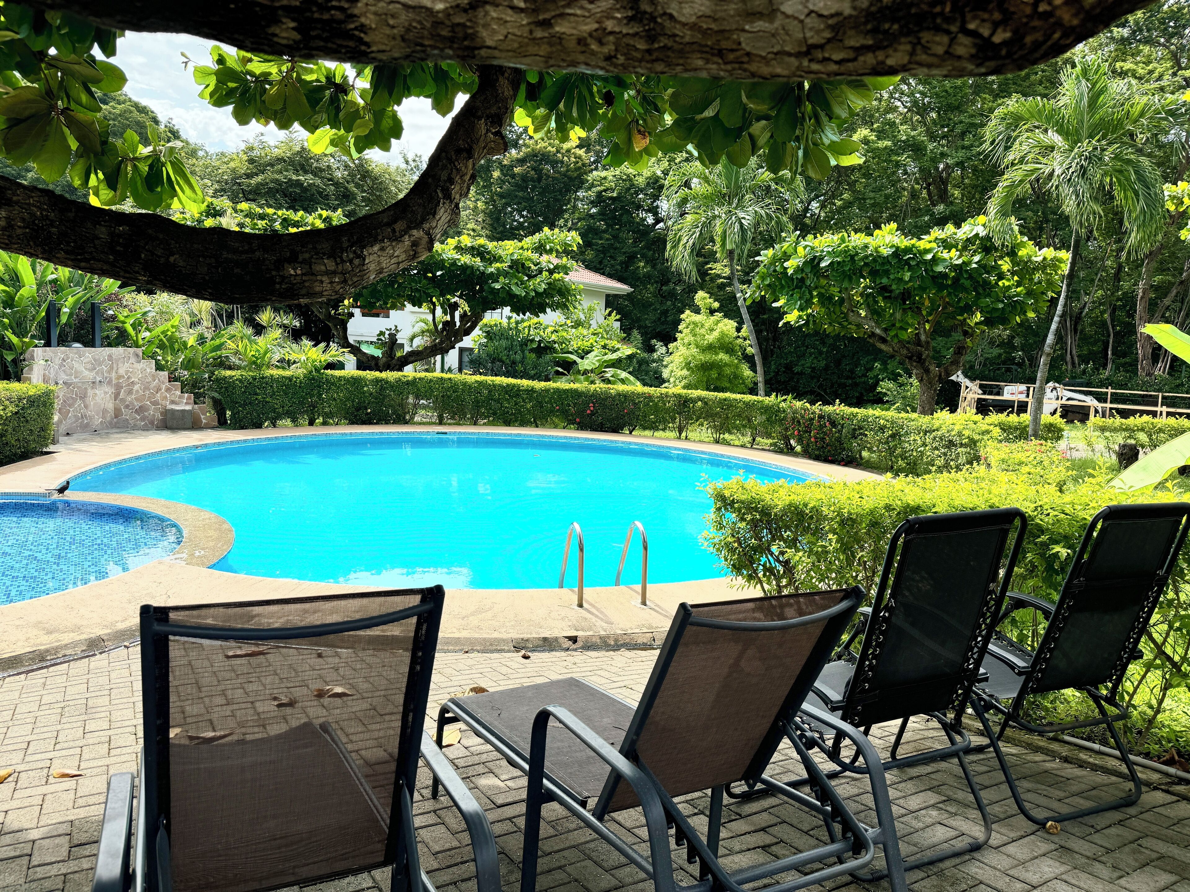 A swimming pool with a clear blue water, surrounded by lush greenery and a stone wall. There are three lounge chairs facing the pool.
