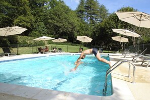 Outdoor pool, a heated pool - Castle at 800m of Lascaux's Cave - Dordogne - Sarlat - Périgord noir (Montignac-Lascaux)