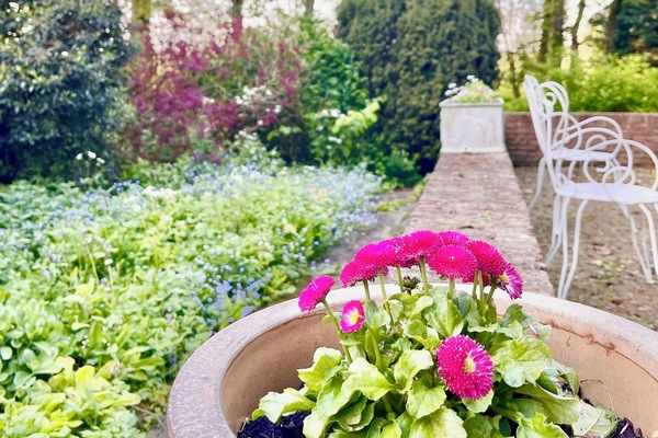 Terrein van de accommodatie