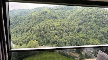 Chambre | Coin séjour