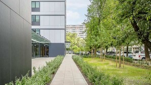 Un edificio moderno con fachada de vidrio, un sendero pavimentado y un jardín bien cuidado.