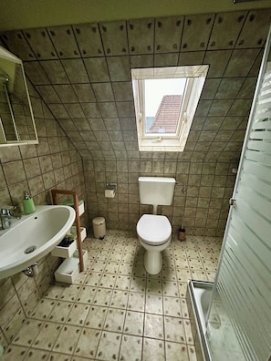 Dusche, Haartrockner, HandtĂŒcher, Seife