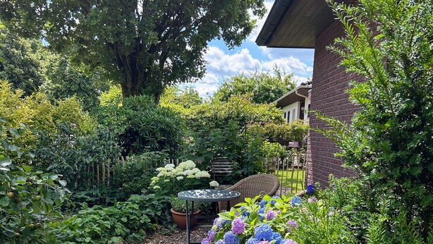 Un sentier de jardin bordé de pierres et de différentes plantes, menant à un bâtiment à l’extérieur en briques.