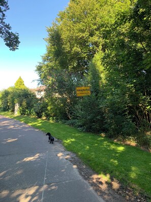 Áreas de la propiedad