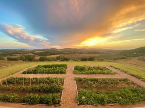 A garden with raised beds and a view of rolling hills in the distance. - Maniero in Maremma, luxury villa  in Tuscany (Montiano)