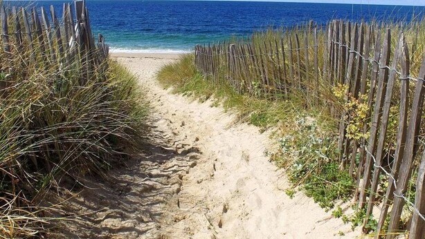 A sandy beach path leading to the ocean, flanked by wooden fences and vegetation. - Luxurious Villa: Pool, Spa, Gym, Cinema, Near Beach, Sleeps 14 (La Turballe)