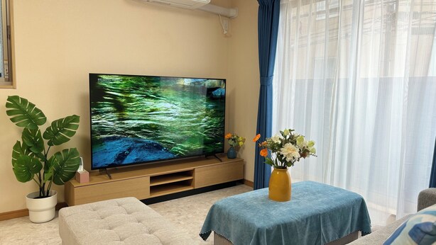 Un salon avec un téléviseur à écran plat, une plante en pot, un canapé et une table recouverte d’une nappe bleue.