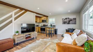 TV, fireplace, video-game console, books