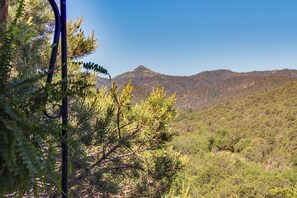 A mountainous landscape with dense forest and a clear sky.