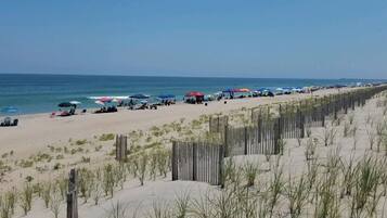 Una spiaggia nelle vicinanze