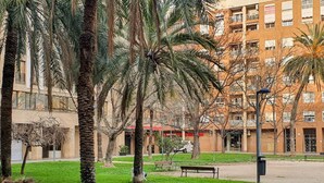 Un patio con palmeras, un banco y un edificio con varias ventanas y balcones.